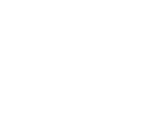 logo-icon