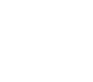 logo-icon
