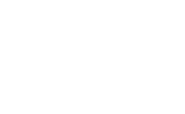 logo-icon